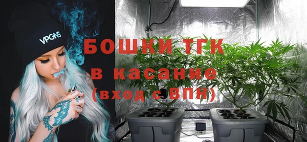 индика Абдулино