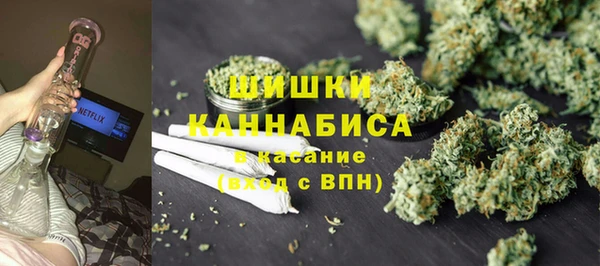 индика Абдулино