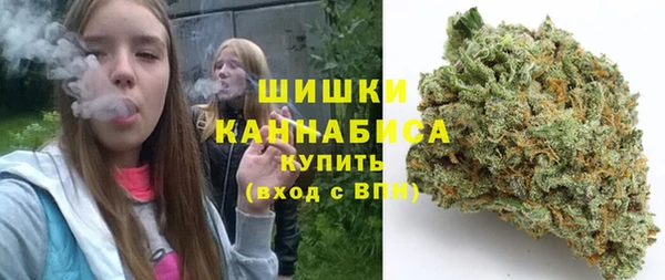 молекула духа Сафоново