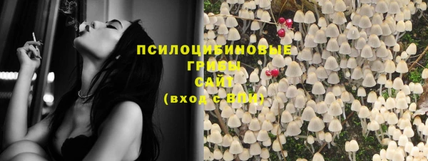 СК Абинск