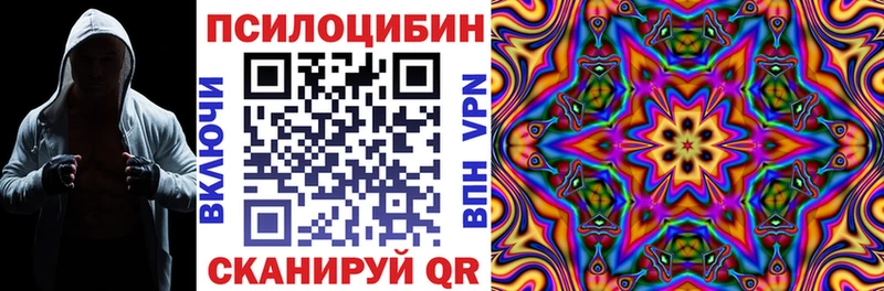 как найти закладки  Вилючинск  Псилоцибиновые грибы мухоморы 