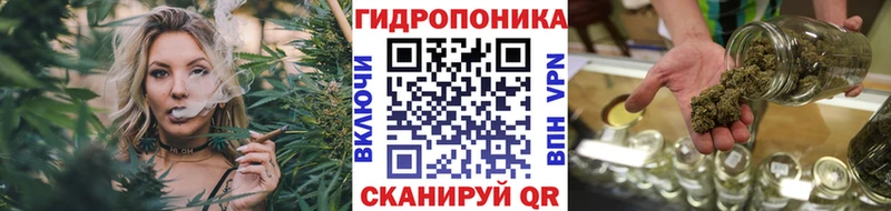 Каннабис план  даркнет сайт  Вилючинск 